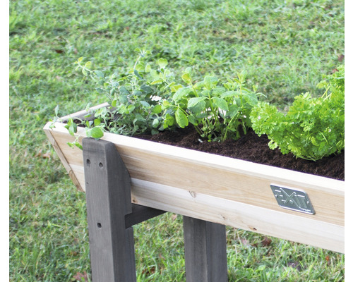 Jardinière surélevée en bois avec différentes herbes plantées