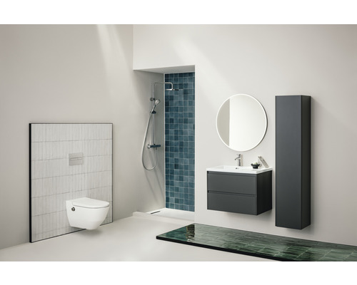 Salle de bains avec toilettes, douche, lavabo, miroir et armoire haute