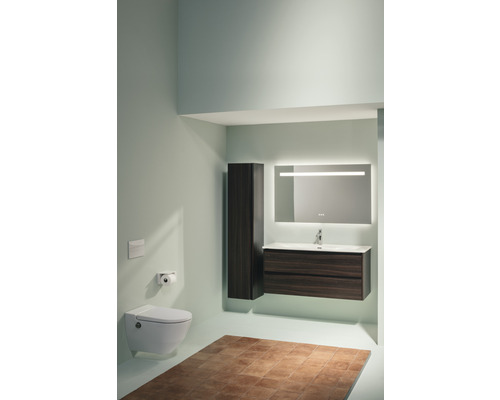 Salle de bains moderne avec WC, meuble-lavabo, armoire de toilette et armoire haute.