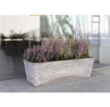 Rechteckiger Blumenkasten aus Kunststoff mit Heidekrautbepflanzung