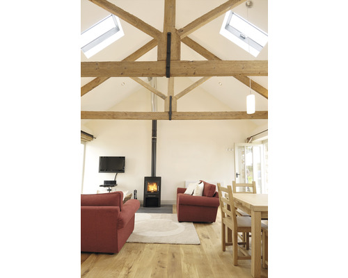 Intérieur avec plafond à poutres en bois, poêle à bois et sièges