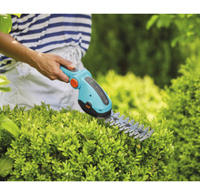Gartenschere im Einsatz an einer Hecke