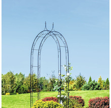 Rosenbogen mit Spitze Wilk 190 x 27 x 289 cm silber