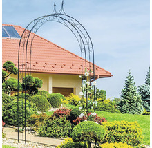 Rosenbogen mit Spitze Wilk 190 x 27 x 289 cm silber