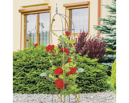 Rosenbogen mit roten Rosen im Garten