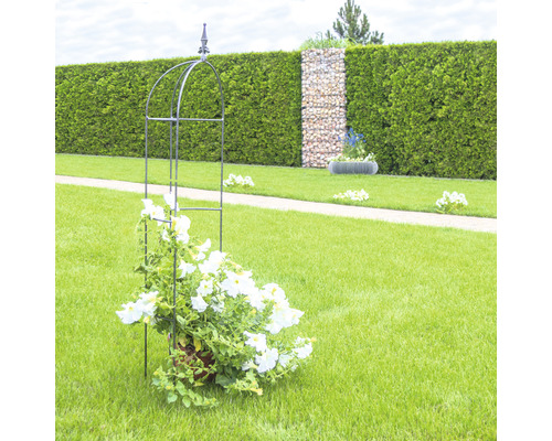 Metall-Rankhilfe mit blühenden Pflanzen im Garten