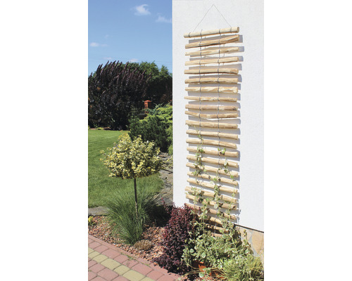 Holz Rankhilfe an einer Hauswand mit Garten im Hintergrund