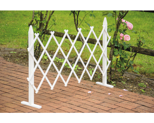 Tuteur extensible en bois blanc dans le jardin