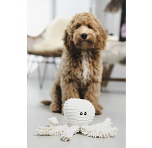 Hund mit Spielzeug-Oktopus