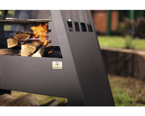 Foyer avec bois et logo Nomlilo