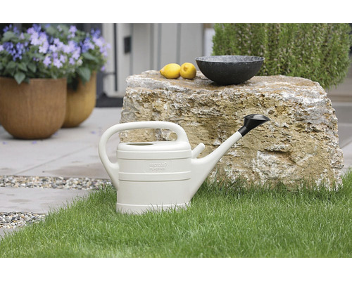 Giesskanne aus Kunststoff auf Rasen vor Stein mit Zitrone und Schale