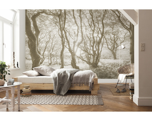 Vue d''une chambre à coucher avec papier peint photo, lit et chaise