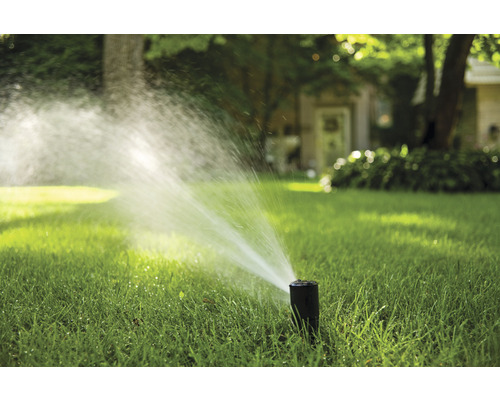 Rasensprenger bewässert Rasenfläche