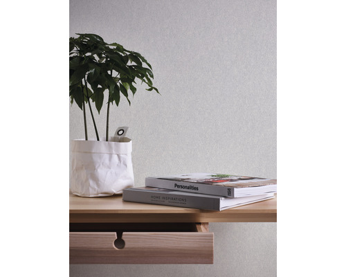 Zimmerszene mit Wand, Pflanze, Tisch und zwei Büchern.