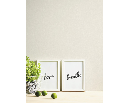 Dekorative Szene mit Kräutertopf, Limetten und zwei gerahmten Bildern mit den Aufschriften Liebe und Atmen.