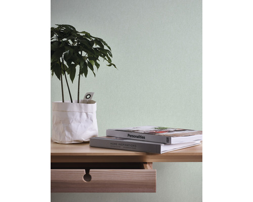 Dekorative Zimmerpflanze im Topf auf einem Holztisch mit Büchern und Schublade vor einer einfarbigen Wand