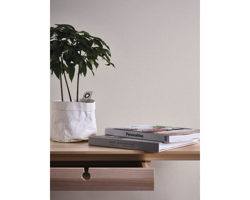 Dekorative Zimmerpflanze in Papierhülle auf einem Holztisch mit Schublade und zwei Büchern.