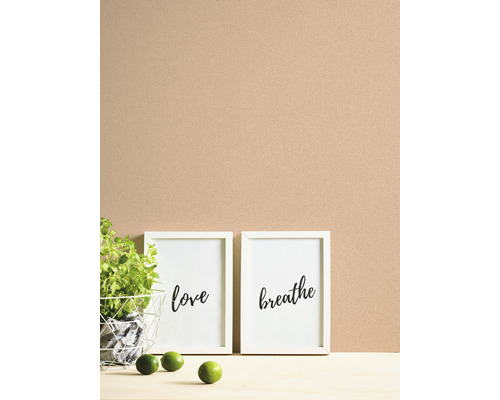 Scène décorative avec deux reproductions d''art encadrées, une plante et des citrons verts