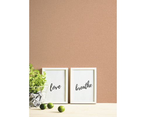 Scène décorative avec plante d''intérieur, deux images encadrées avec les inscriptions Amour et Respiration, et des citrons verts