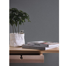 Plante d''intérieur décorative dans un sac en papier sur un bureau avec des livres
