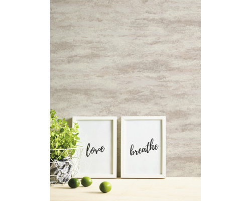 Décoration murale avec deux cadres, une plante et des citrons verts