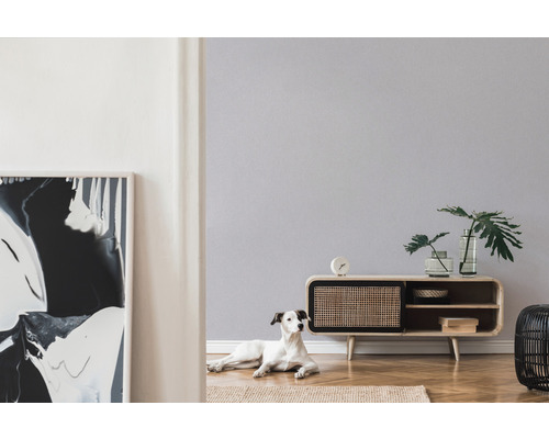 Salon avec meuble bas, décoration, tableau et chien sur tapis