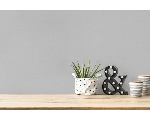 Nature morte décorative avec plante d''intérieur, esperluette décorative et récipients sur une table en bois