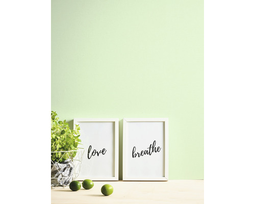 Scène décorative avec des plantes, deux cadres avec les mots amour et respiration, et des citrons verts