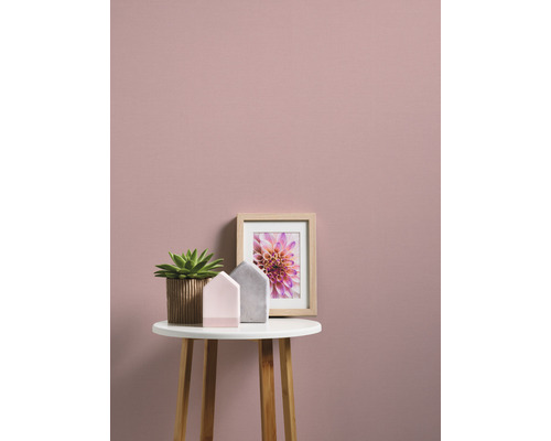 Scène décorative avec plante en pot, cadre photo et décoration de maison sur une table devant un mur.