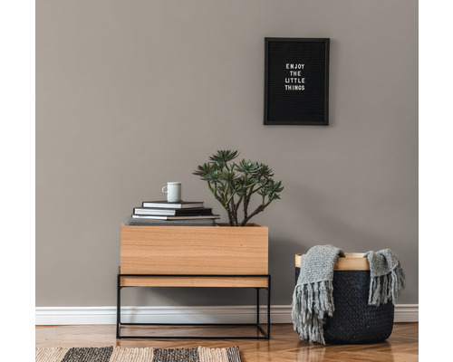 Intérieur décoratif avec plantes, pile de livres, armoire en bois et panier