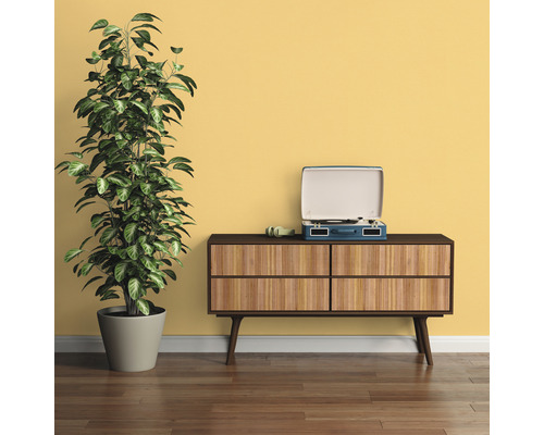 Scène avec plante d''intérieur, commode, casque et tourne-disque devant un mur