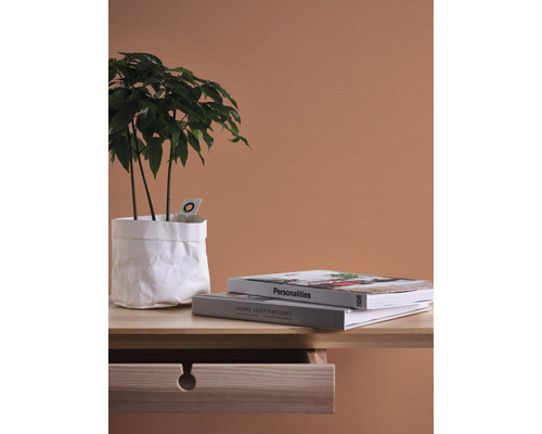 Dekorative Szene mit Zimmerpflanze in weissem Papiersack, zwei Büchern und einem Holztisch mit offener Schublade