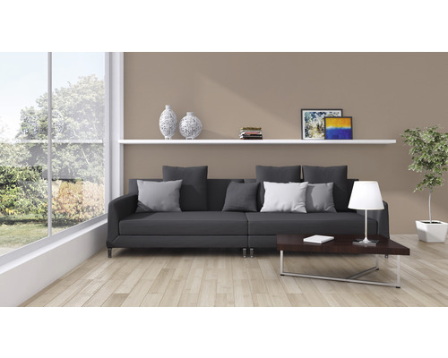 Salon avec canapé, table basse, étagère et plante d''intérieur