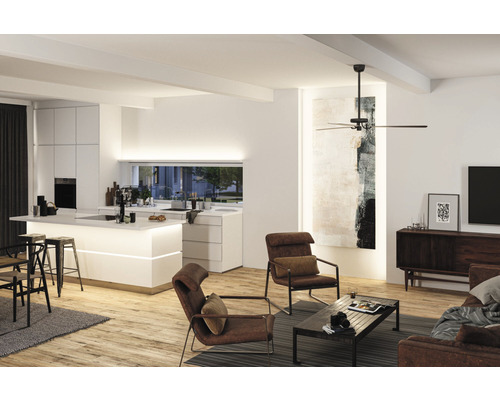 Helles Wohnzimmer mit Küche, Deckenventilator und braunen Ledersesseln