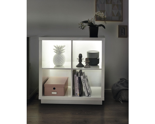 Regal mit vier Fächern, beleuchtet, dekoriert mit Ananas, Büchern, Box und Pflanze