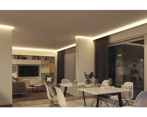 Wohnzimmer mit Deckenbeleuchtung, Esstisch und Regalen