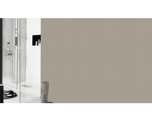 Salle de bain avec douche et mur beige