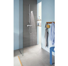 Robinet de douche avec douchette et pommeau de douche dans une salle de bains moderne avec paroi de verre