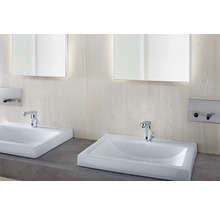Deux lavabos avec robinets et miroirs dans une salle de bain lumineuse.