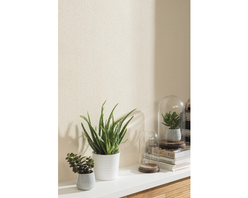Étagère décorative avec plantes grasses, Aloe Vera et cloches en verre