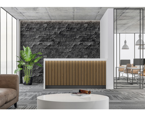 Réception avec comptoir d''accueil, mur en pierre et plante d''intérieur