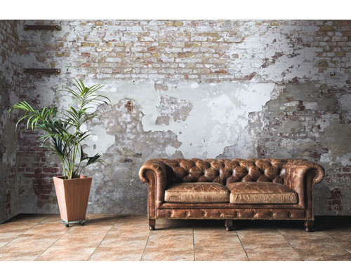 Vue intérieure avec canapé en cuir, plante d''intérieur et mur de briques