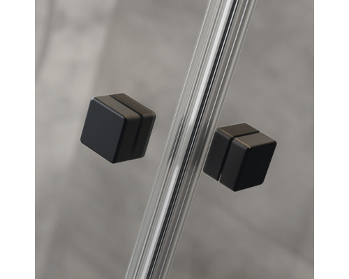 Cabine de douche, vue détaillée : porte en verre avec poignées noires
