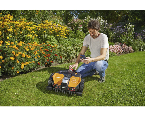 Un homme commande un robot de tonte avec un smartphone dans un jardin.