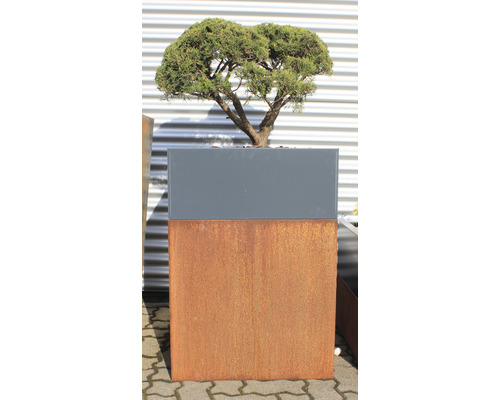 Jardinière avec arbre