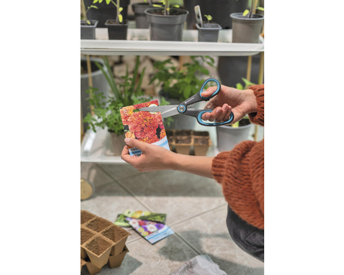 Une personne ouvre un sachet de graines de souci avec des ciseaux.