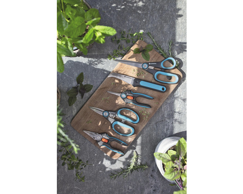 Mehrere Gartenscheren auf einem Holzbrett mit Kräutern.