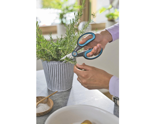 Eine Person schneidet mit einer Gartenschere Kräuter in einem Topf.