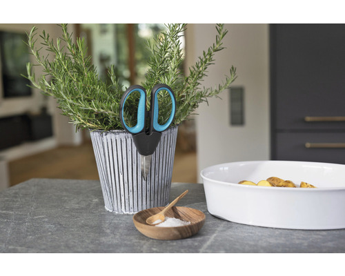 Kräutertopf mit Schere, Schale mit Kartoffeln und Schale mit Salz auf einer Arbeitsplatte