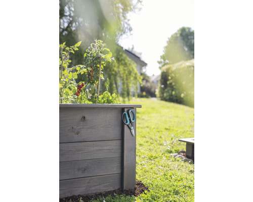 Hochbeet aus Holz mit Tomatenpflanzen und Gartenschere